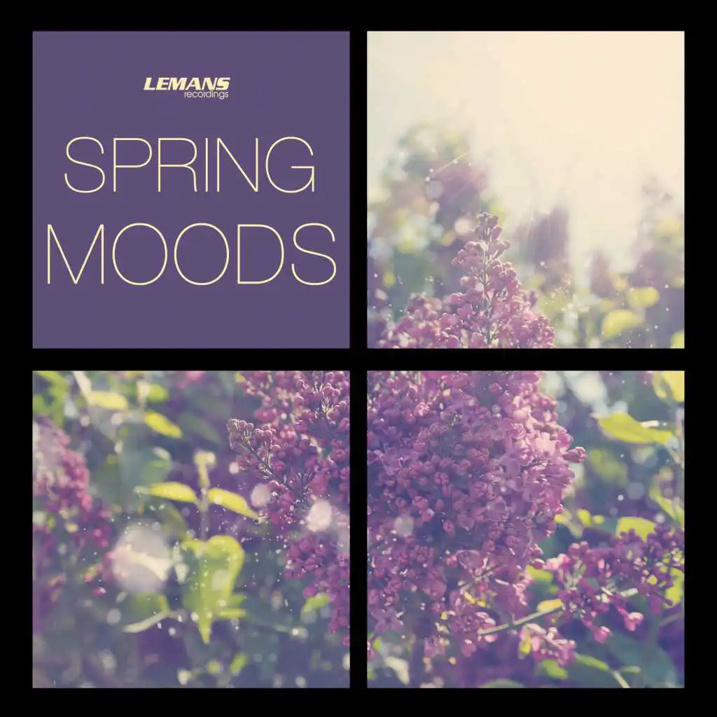 Spring Moods