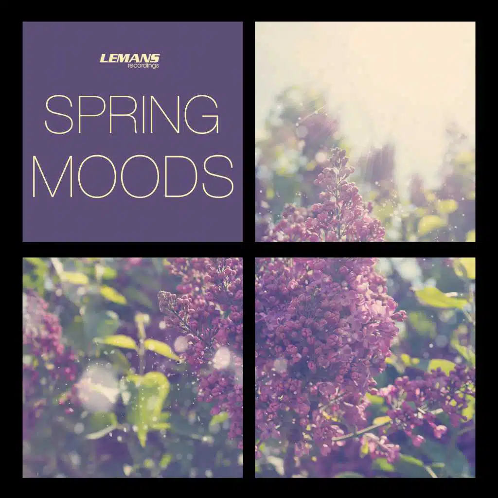 Nytron, Jean Bacarreza & Base On