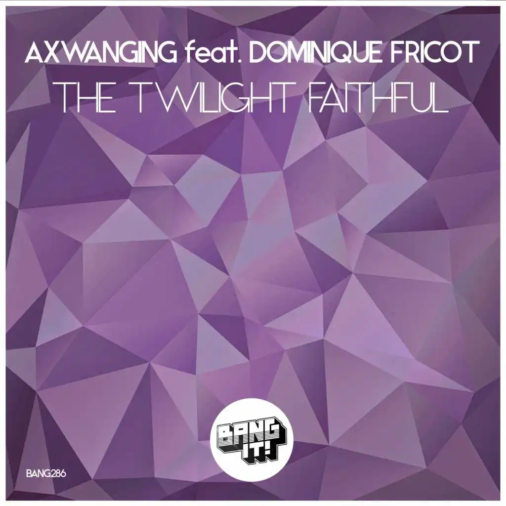 The Twilight Faithful (E-RoSS Remix) [feat. Dominique Fricot]