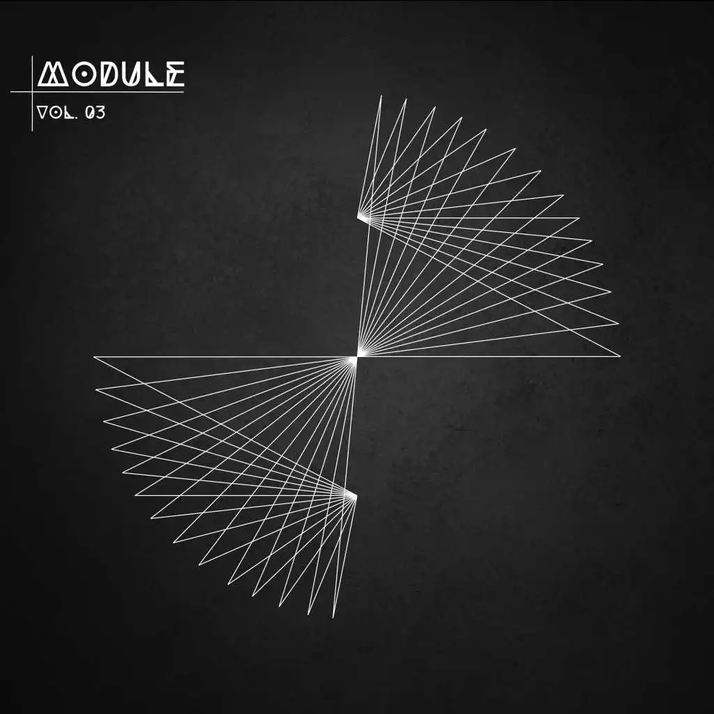 Module, Vol. 03