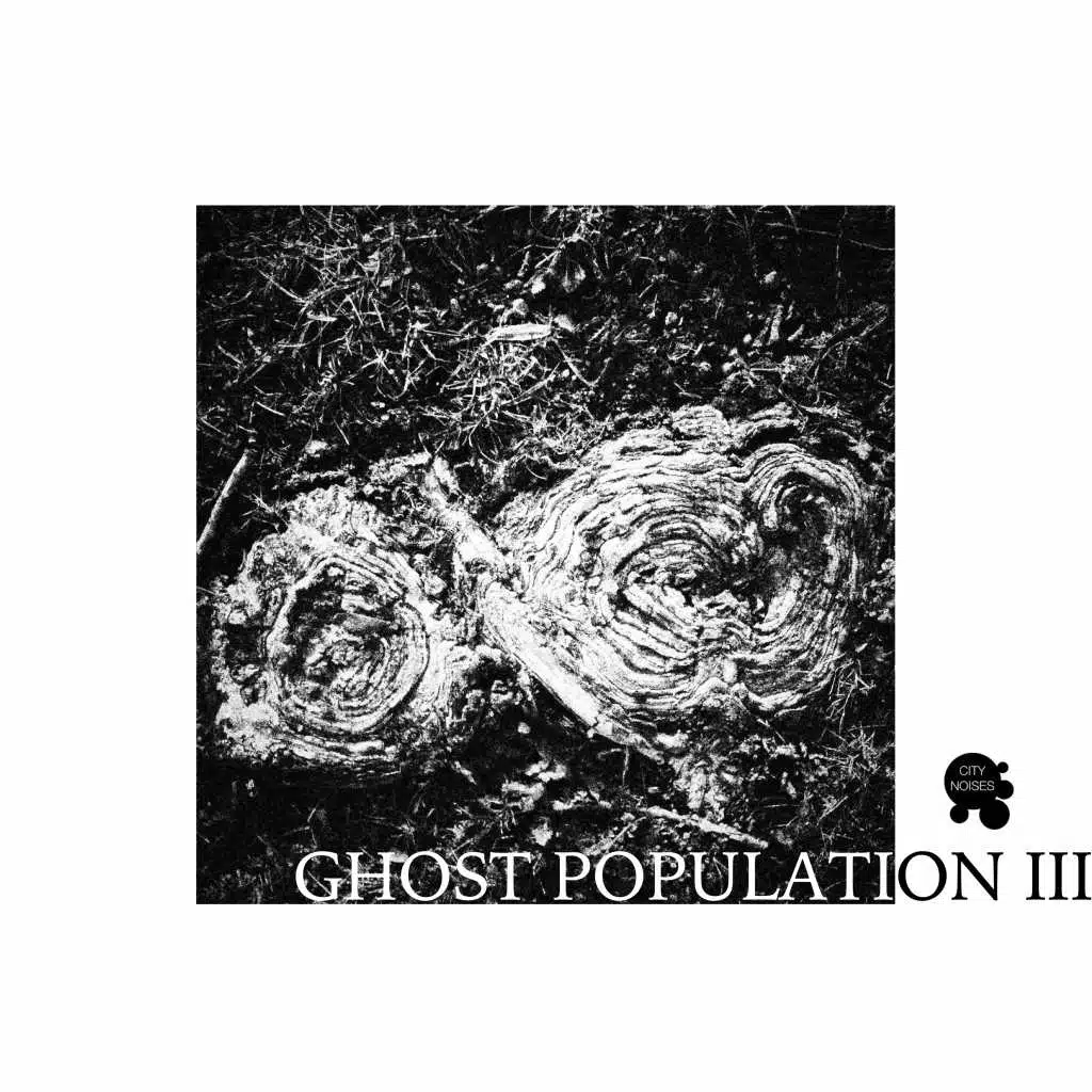 Psika (Alva Noto Remodel)