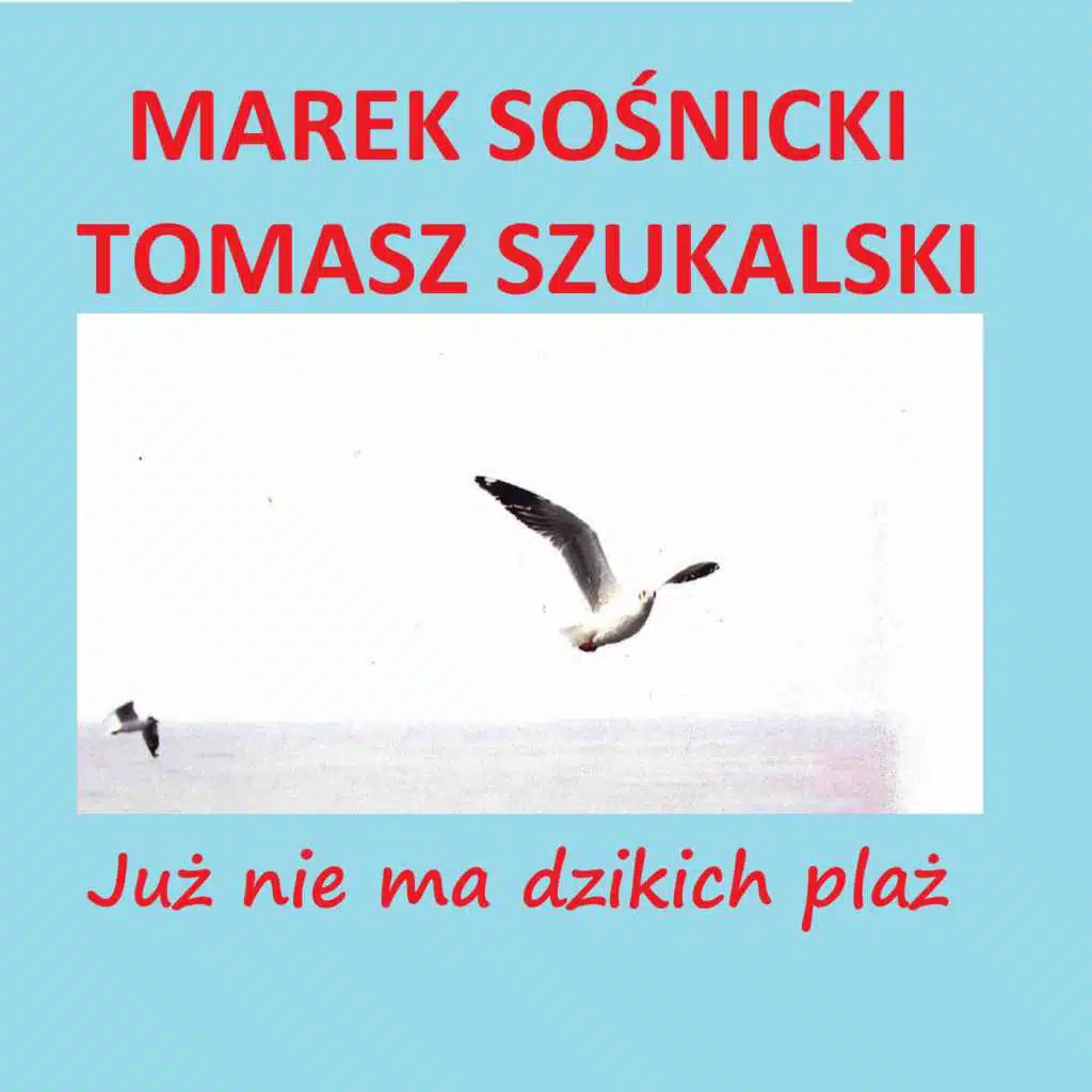 Już nie ma dzikich plaż (Radio Edit)