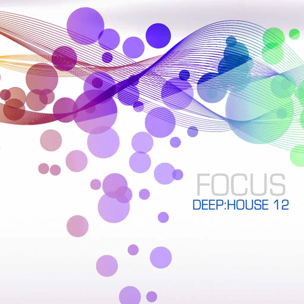 Focus: Deep House, Vol. 12