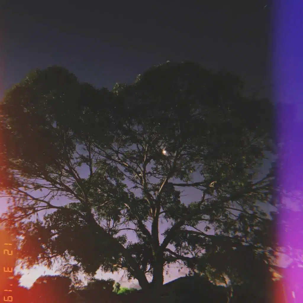 Paralysed
