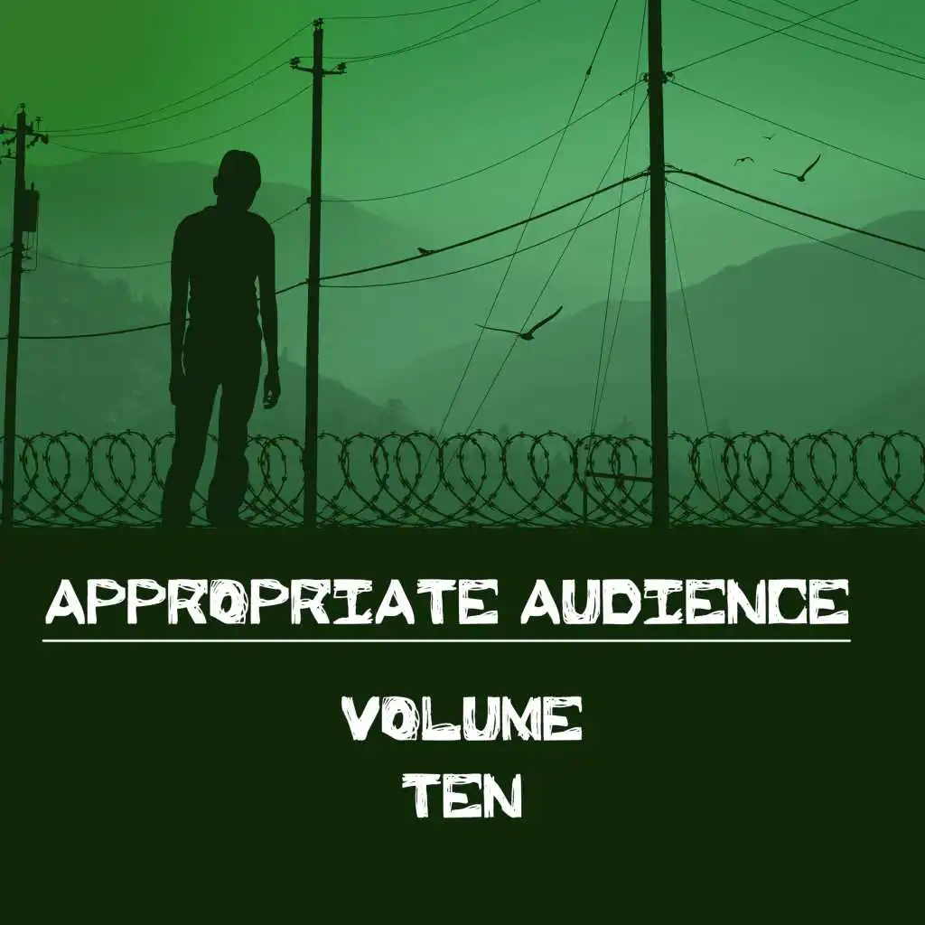 Appropriate Audience, Vol. 10