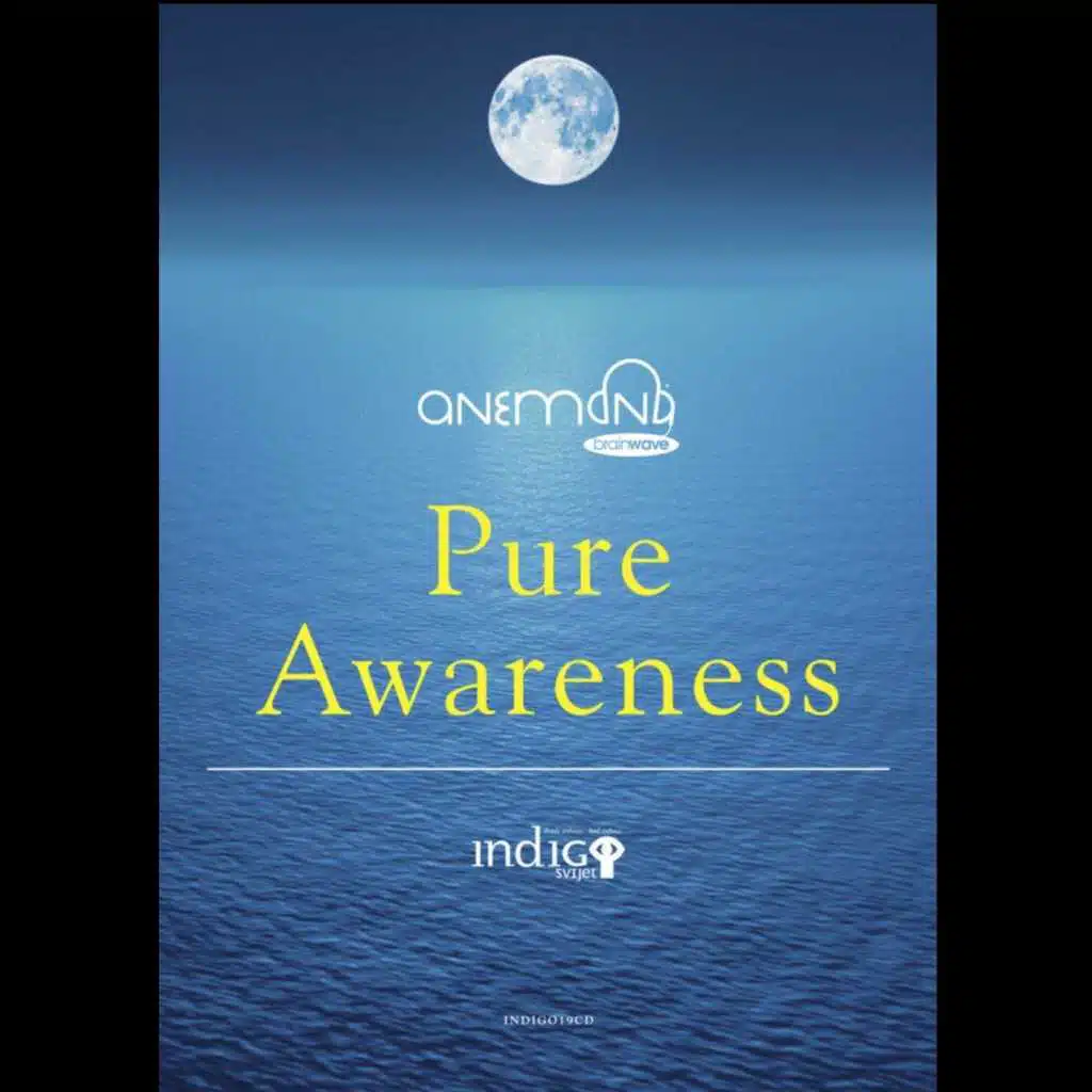 Pure Awareness