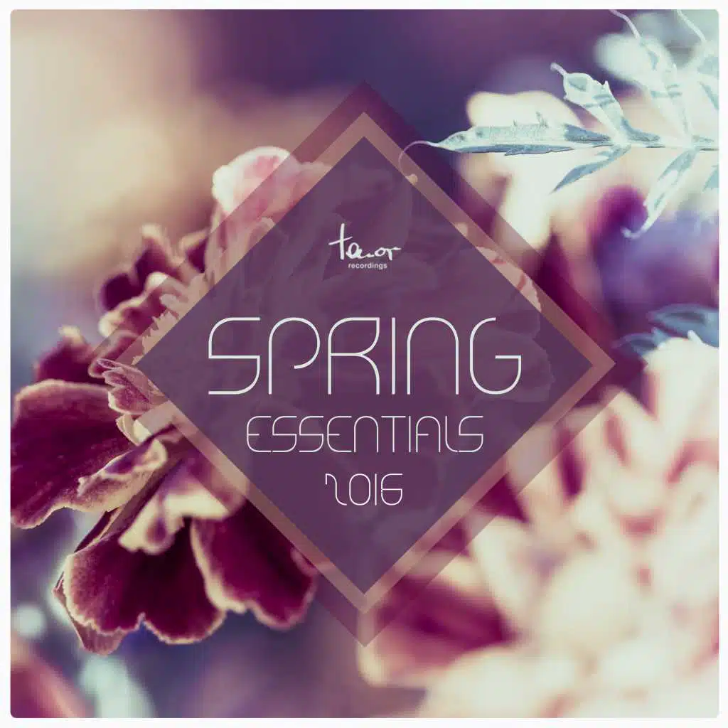 In the Stars (feat. Thomas Gandey)