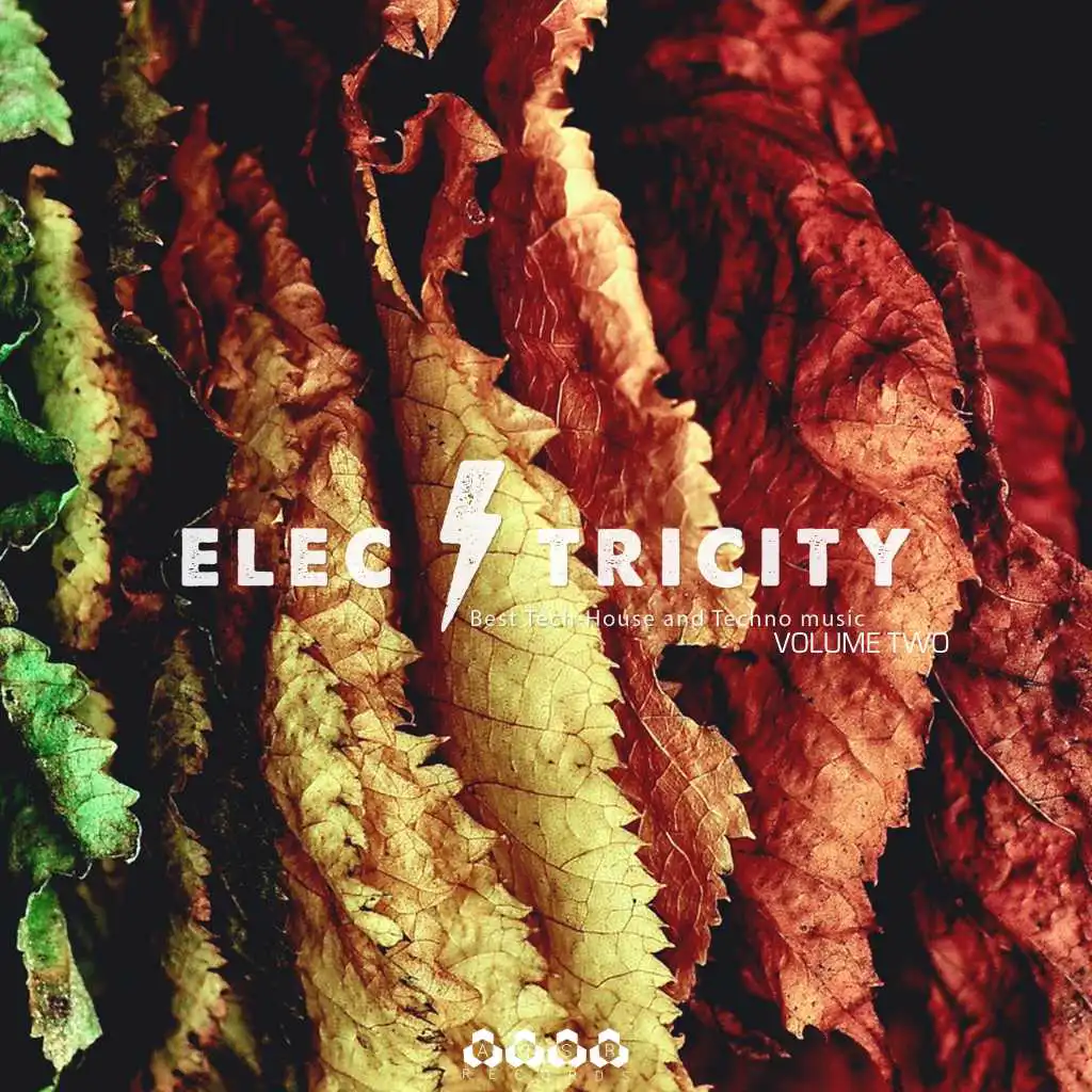 Electricity, Vol. 2