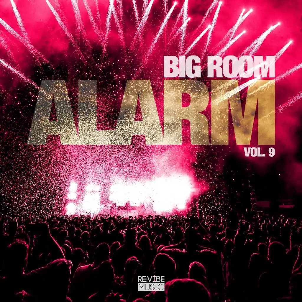 Big Room Alarm, Vol. 10
