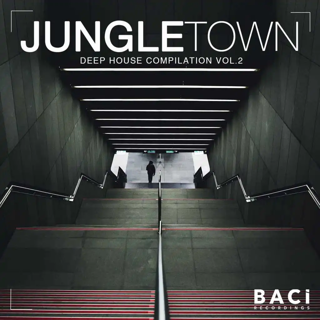 Jungle Town, Vol. 2
