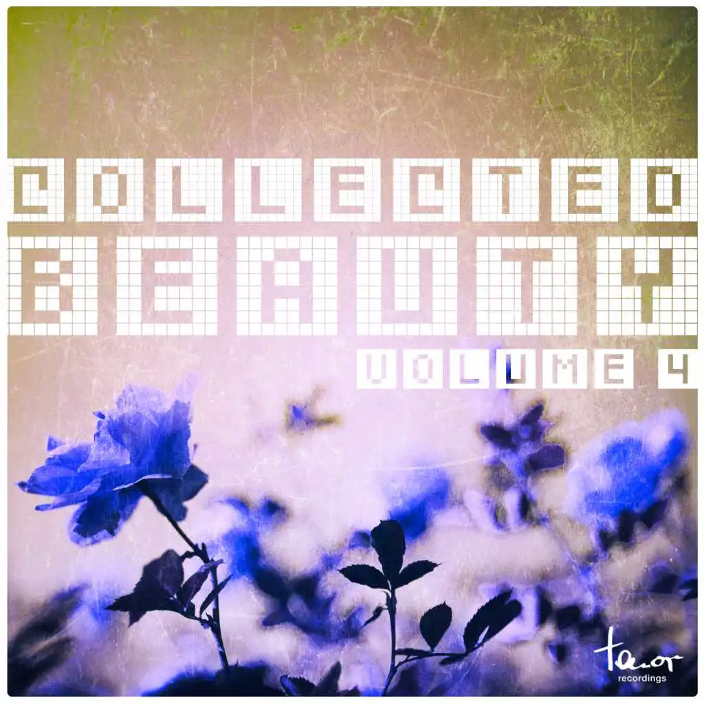 Collected Beauty, Vol. 4