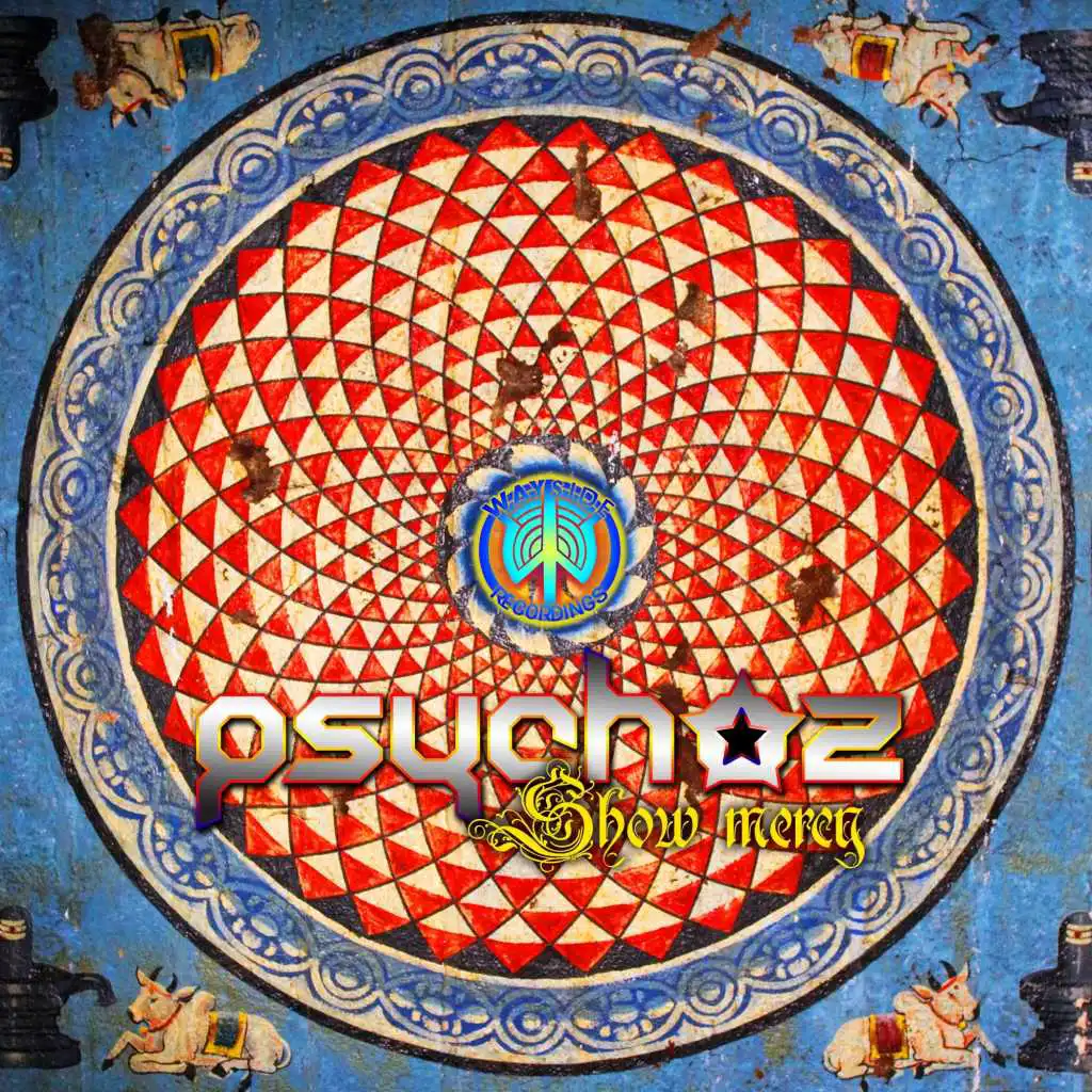 Show Mercy (Drum & Bass Remix)