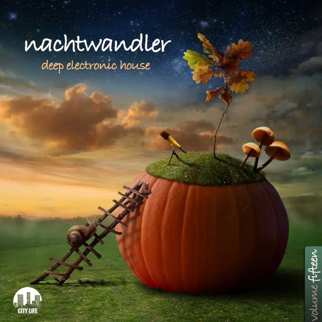 Nachtwandler, Vol. 15 - Deep Electronic House
