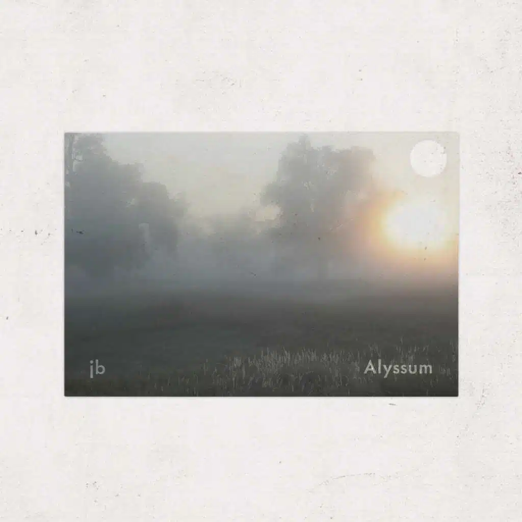 Alyssum