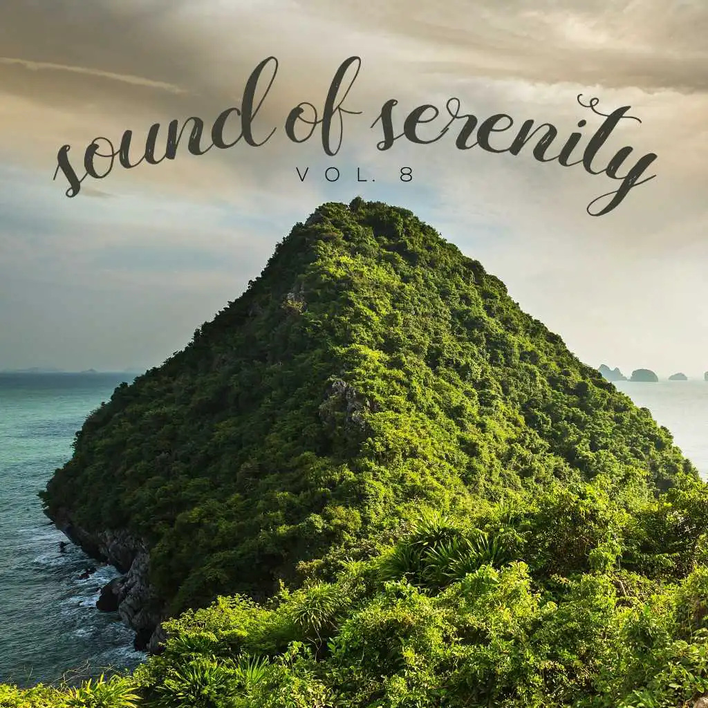 Sound of Serenity, Vol. 8