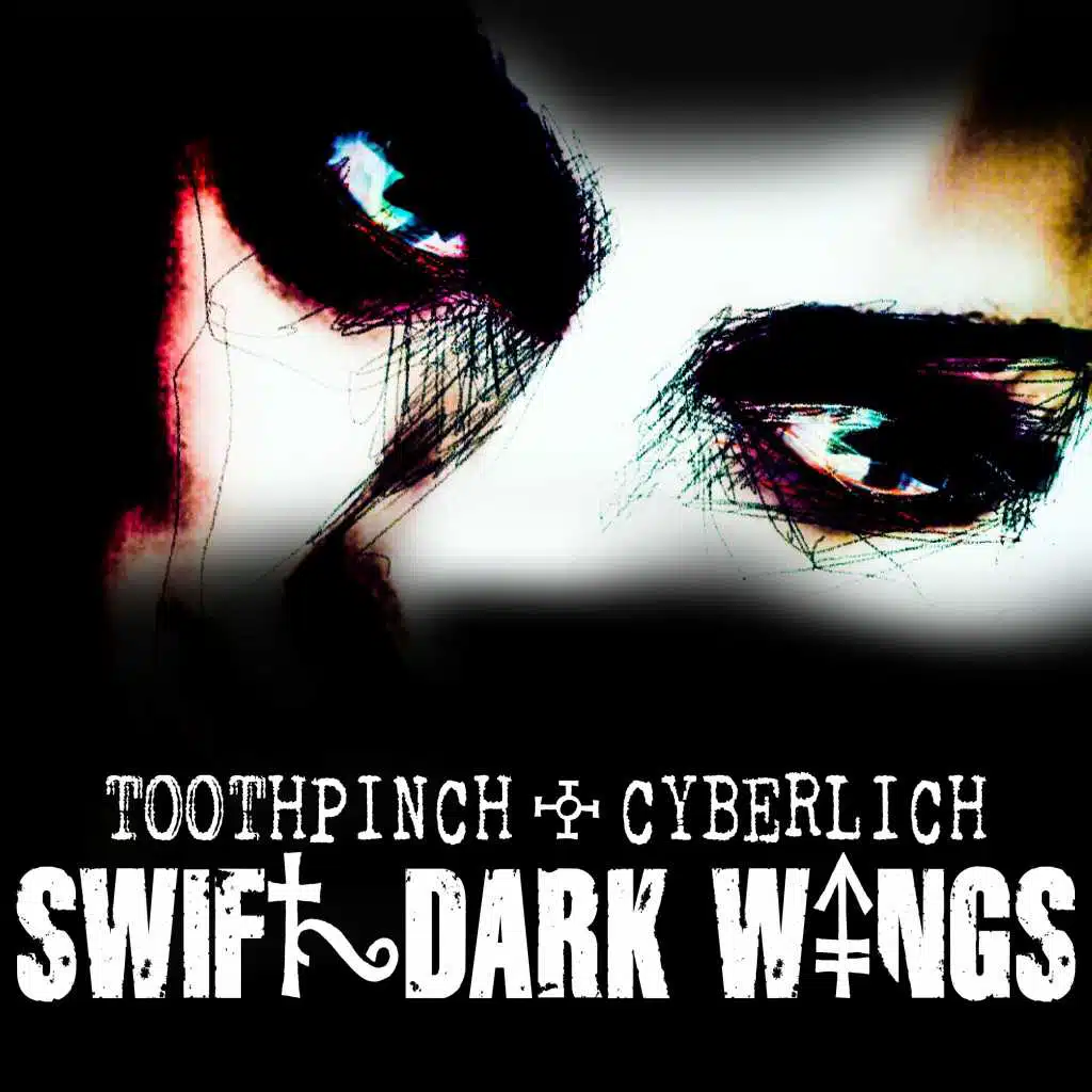 Swift Dark Wings (Extended Mix)