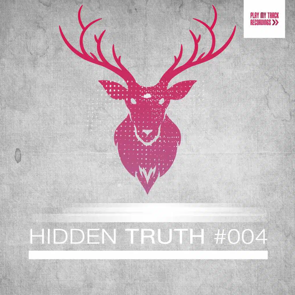 Hidden Truth #004