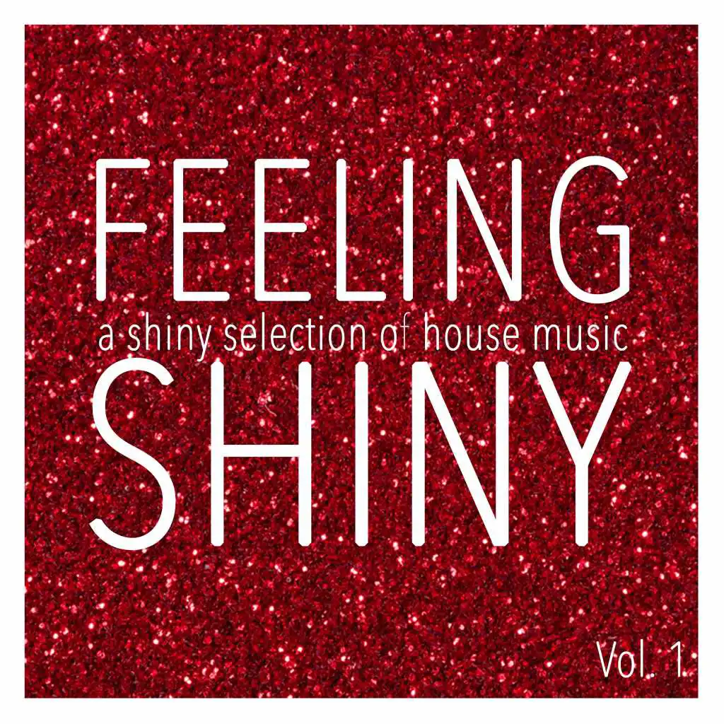 Feeling Shiny, Vol. 1 - Shiny Selection of House Music