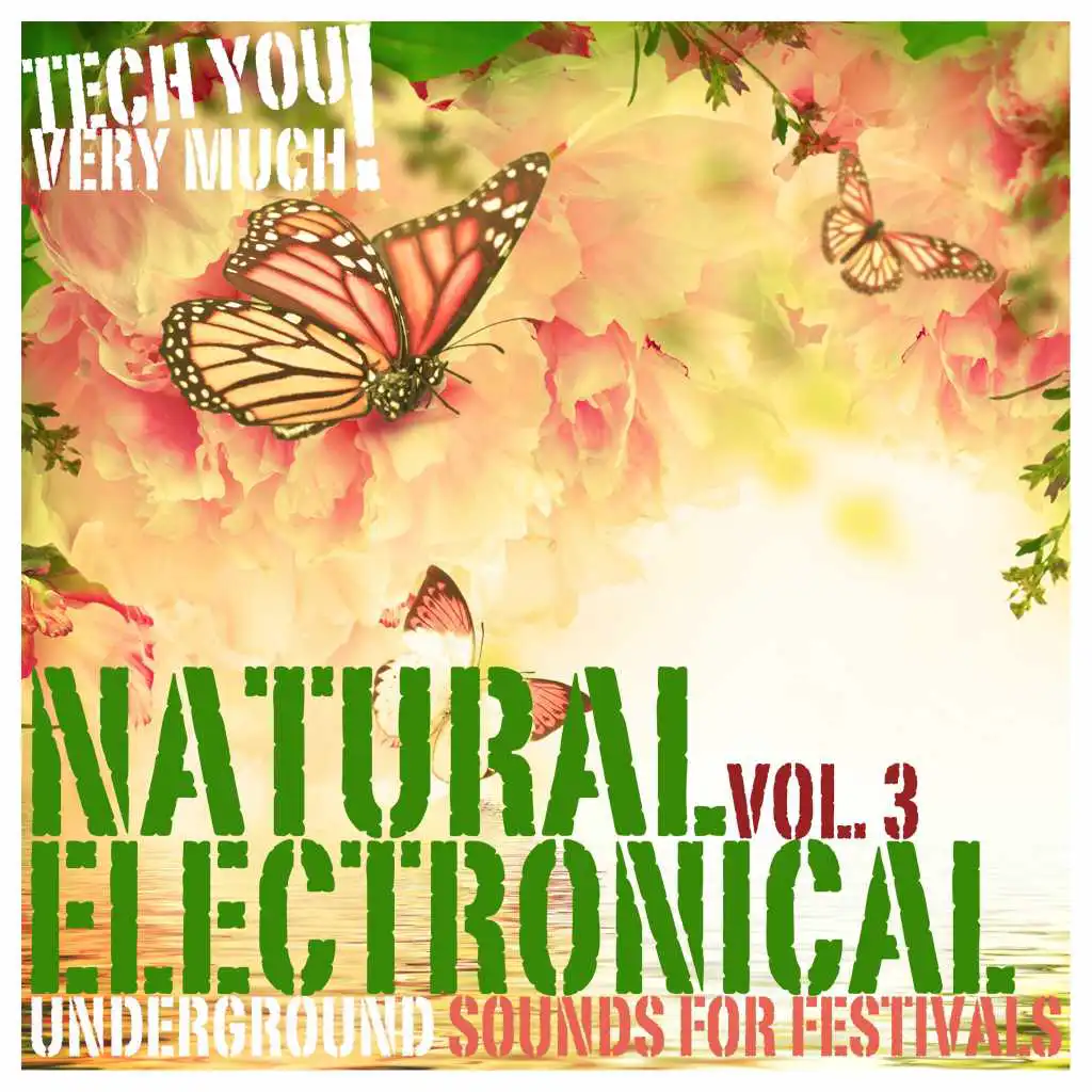Natural Electronical, Vol. 3 (Underground Sounds for Festivals)