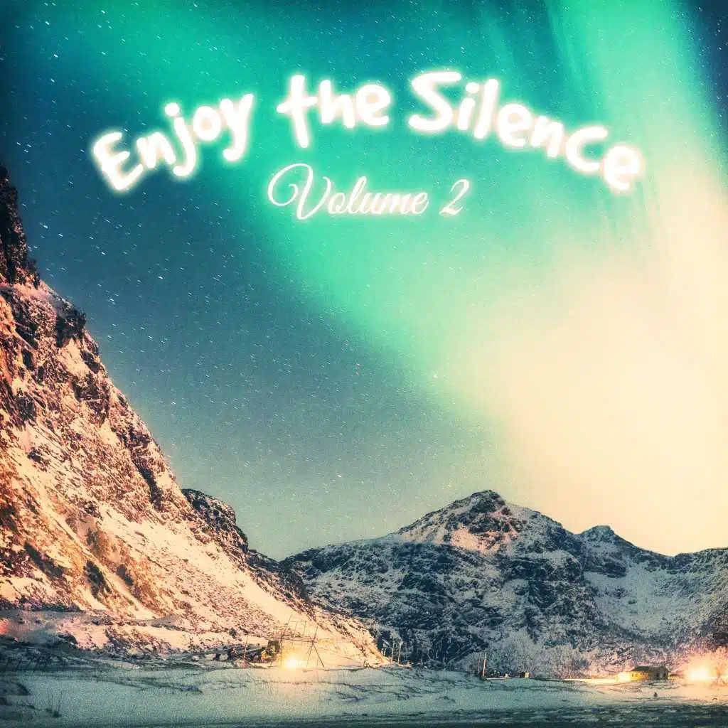 Enjoy the Silence, Vol. 2