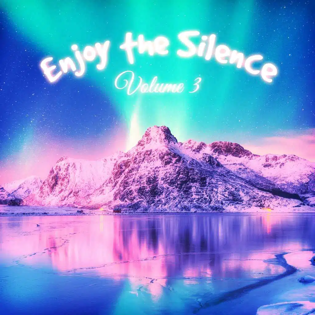 Enjoy the Silence, Vol. 3