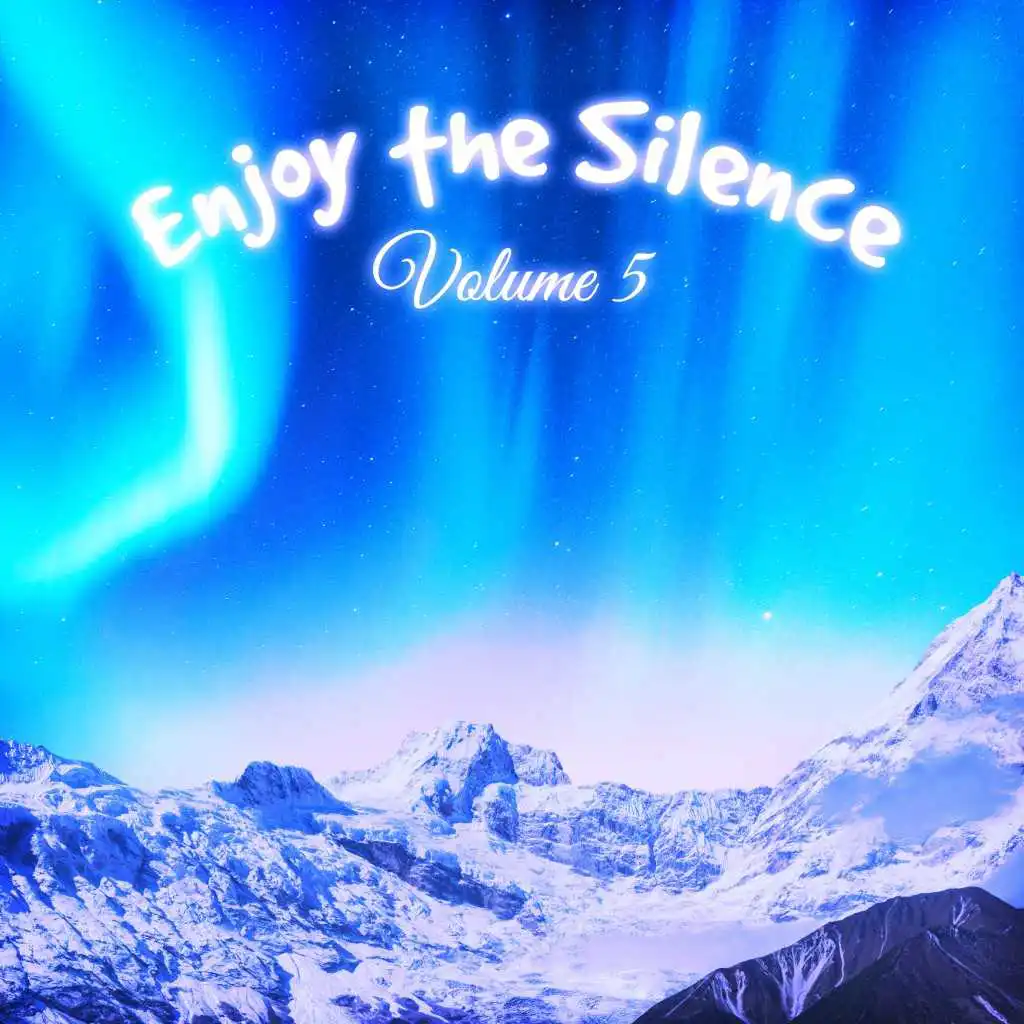 Enjoy the Silence, Vol. 5