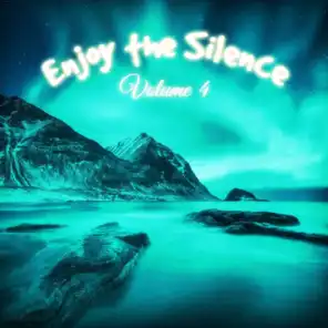 Enjoy the Silence, Vol. 4