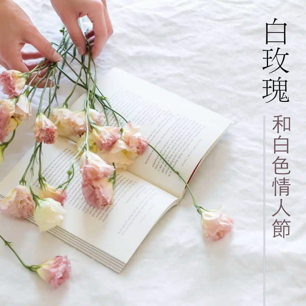 白玫瑰和白色情人節 - 最有氣氛的純音樂和鋼琴曲為了白色情人節
