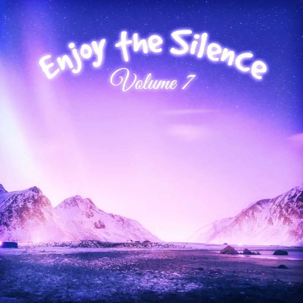 Enjoy the Silence, Vol. 7