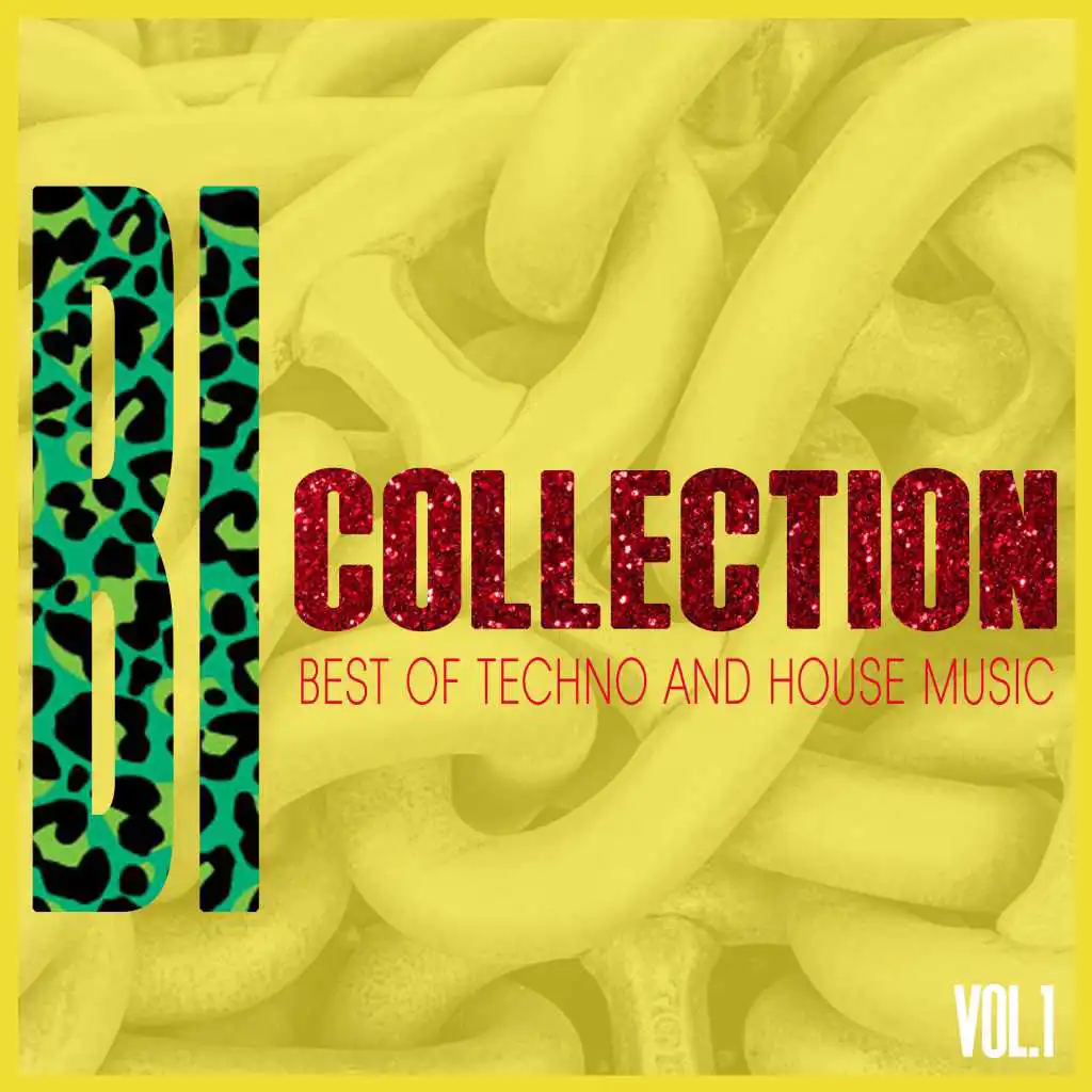 BI-Collection, Vol. 1 - Best of Techno and House