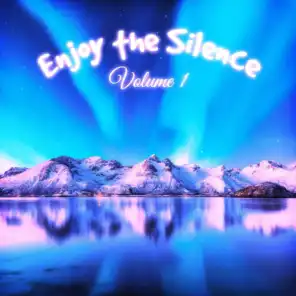 Enjoy the Silence, Vol. 1