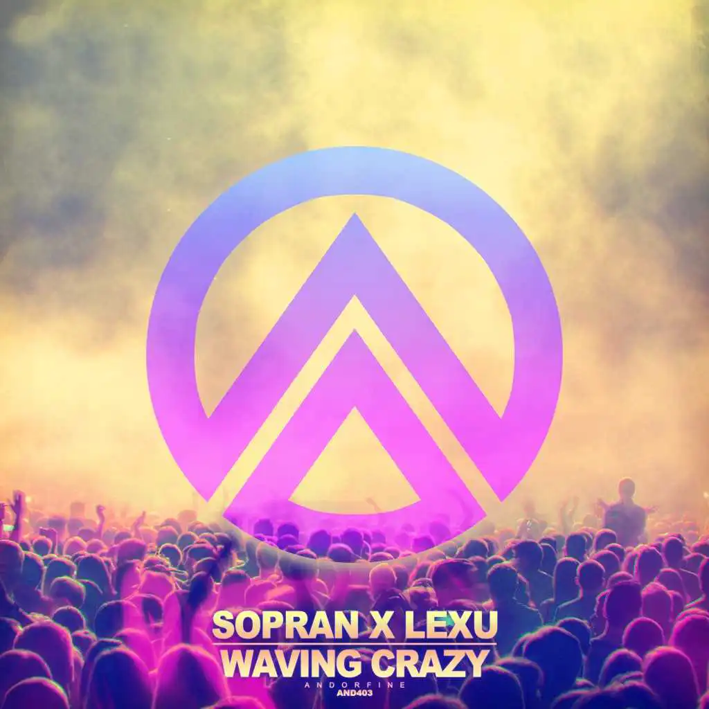 Waving Crazy (Extended Mix)