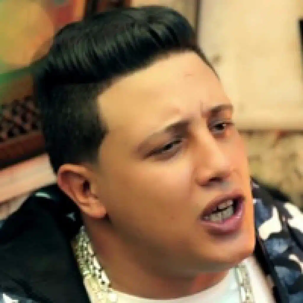 حمو بيكا-مودي امين-نور التوت