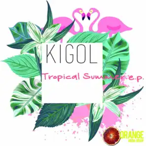 Tropical Summer EP