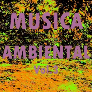 Musica Ambiental, Vol. 3