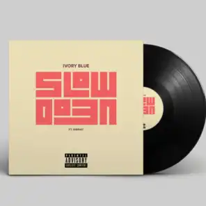 Slow Down (feat. BibiRay)