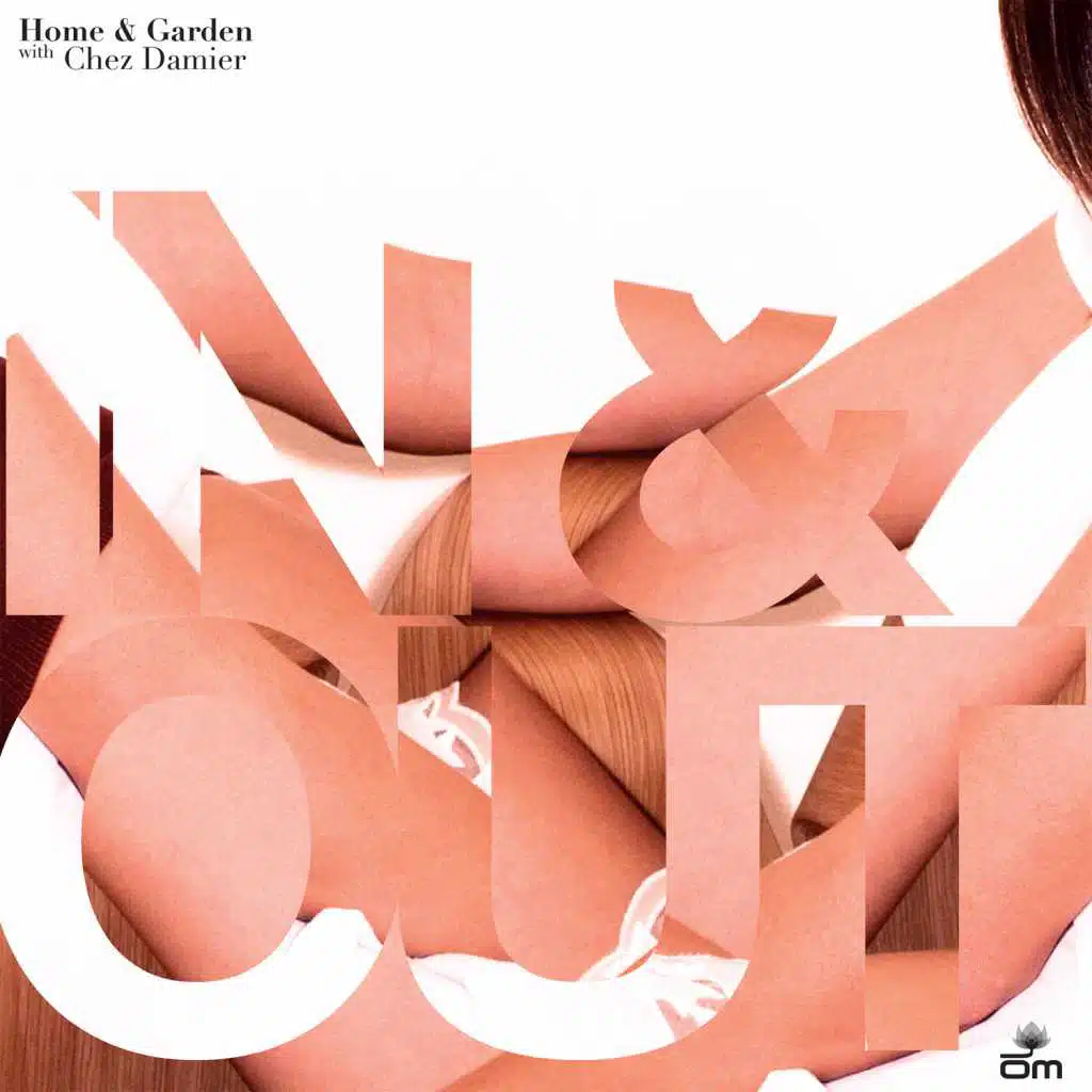 In And Out (BHQ TV Track (Derrick Carter))