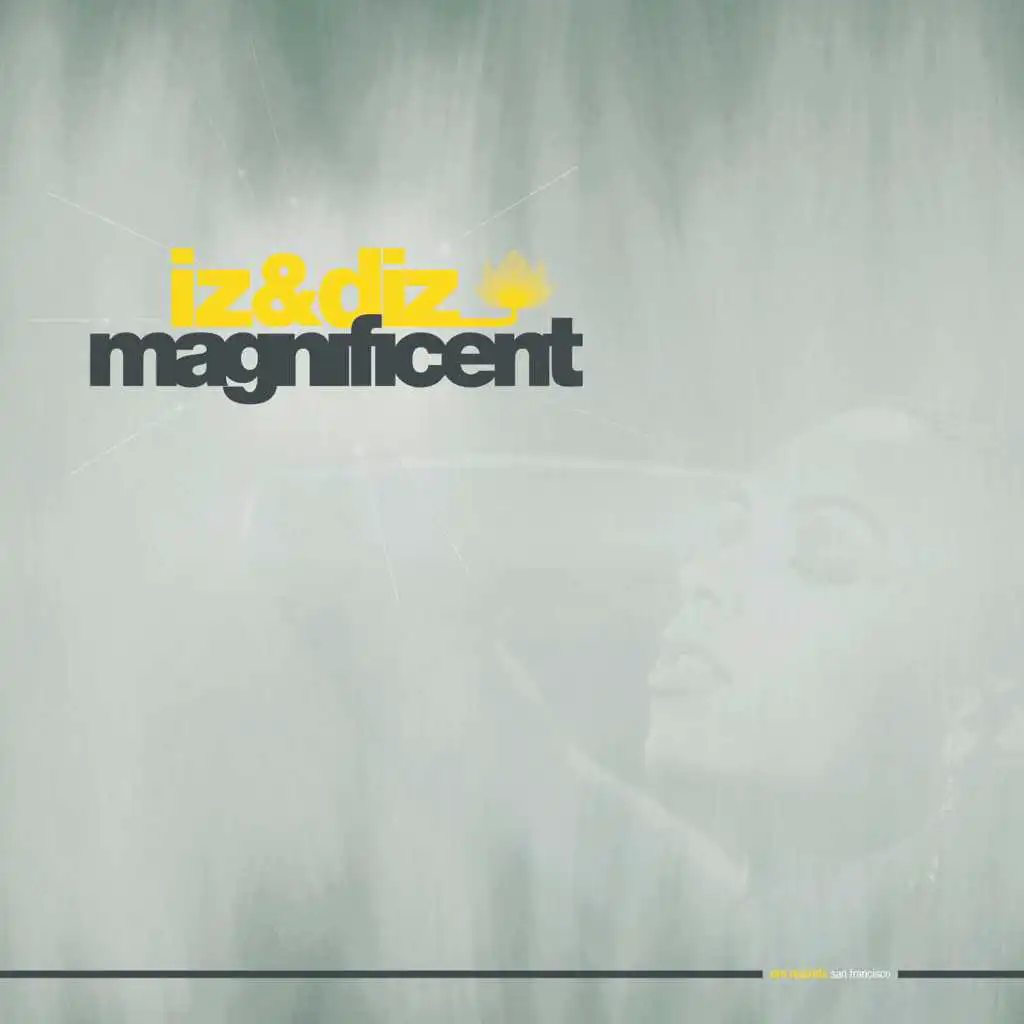 Magnificent (Justin Martin Remix)