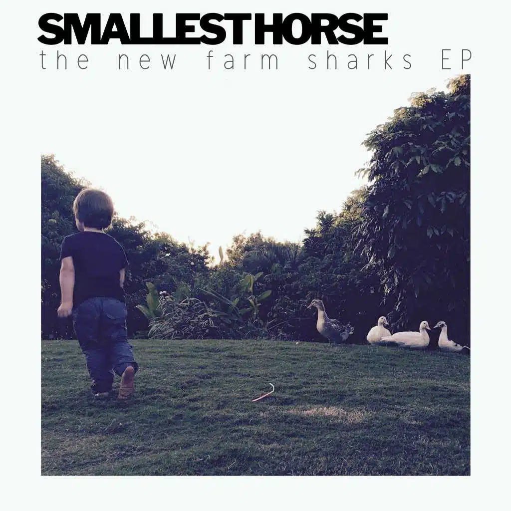The New Farm Sharks EP
