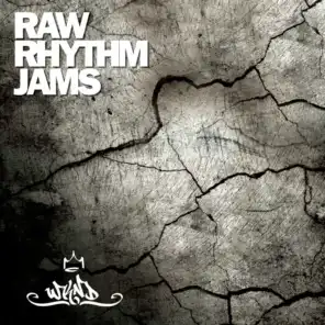 Raw Rhythm Jams, Vol. 1