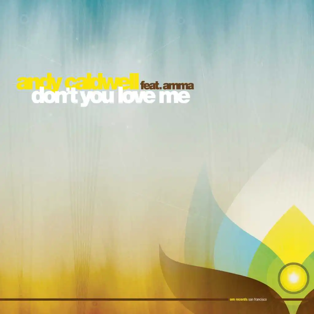 Don't You Love Me (Electro Retro Mix)