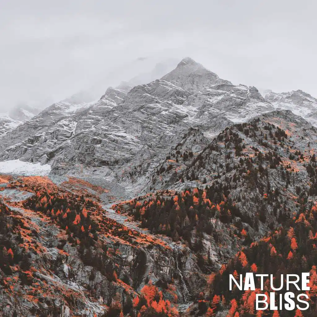 Nature Sounds for Sleep and Relaxation, Sounds of Nature Relaxation