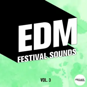 EDM Festival Sounds, Vol. 3