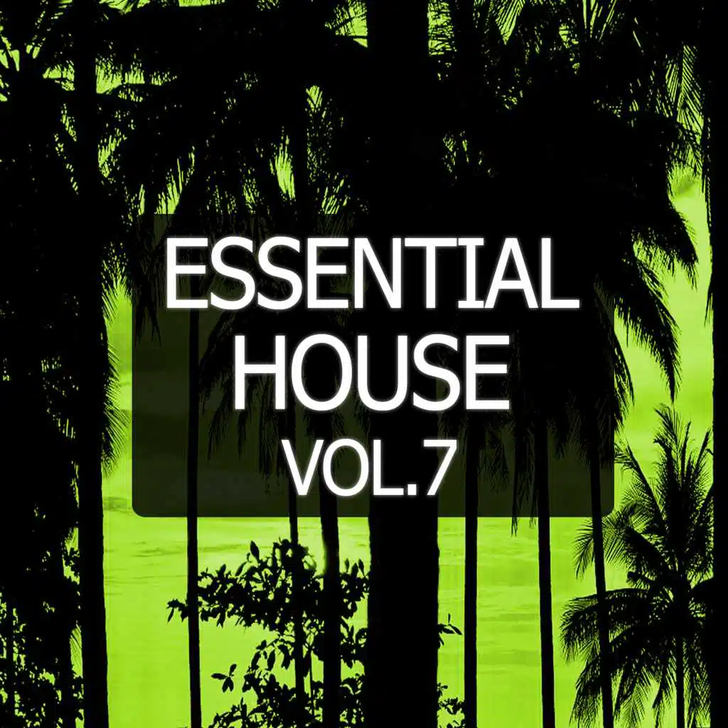 Essential House, Vol. 7