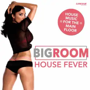 Bigroom House Fever