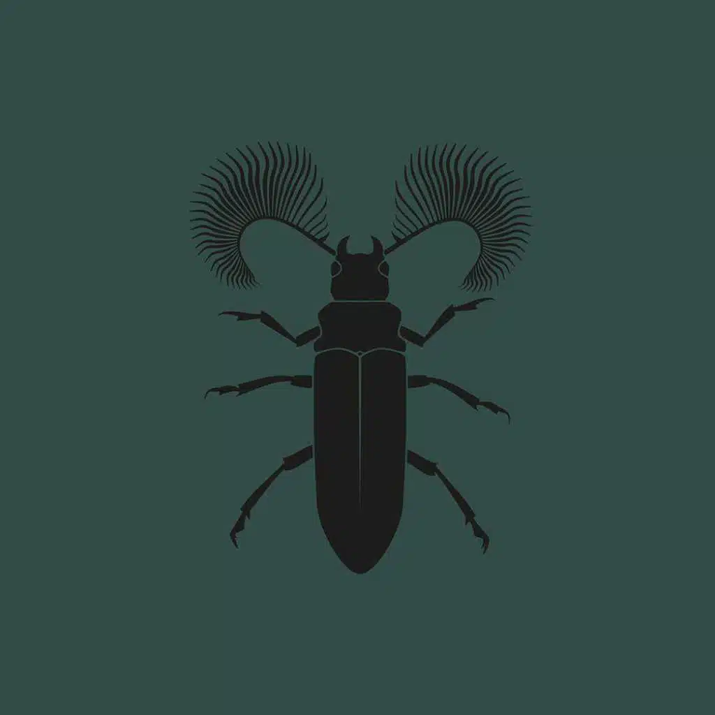 Featherhorned Beetle EP (feat. MTHZK)