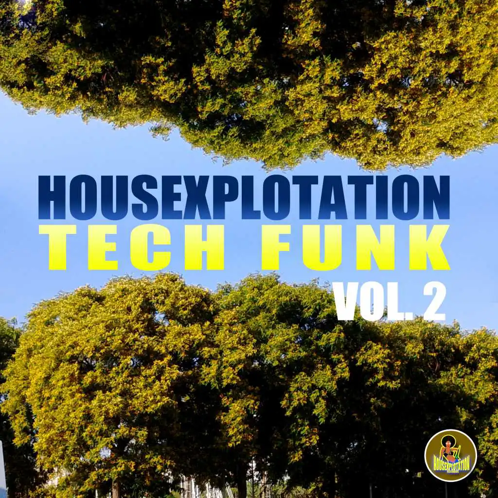 Housexplotation Tech Funk, Vol. 2