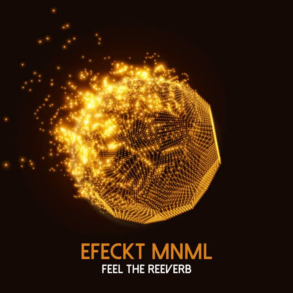 Feel the Reeverb