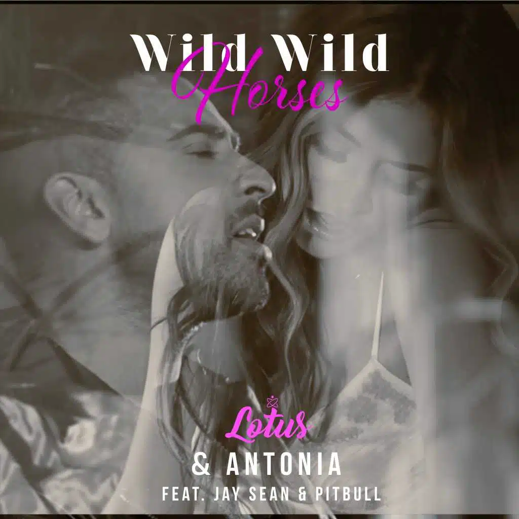 Wild Wild Horses (BigBeat Remix) [feat. Jay Sean & Pitbull]