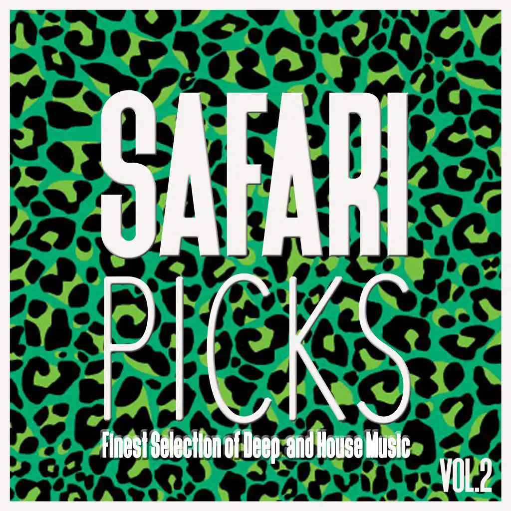 Safari Picks, Vol. 2 - Finest Selection of Deep and House Music